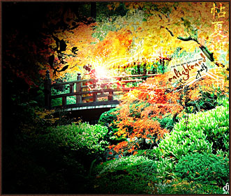 Enlightened Path