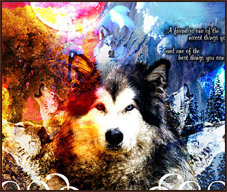 Poster for Wolf lover